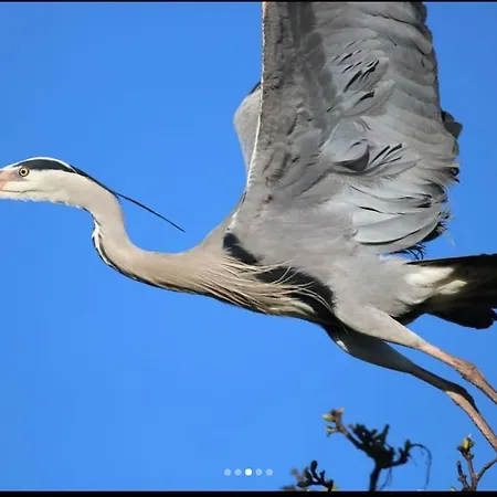 Linden بيت للعطل