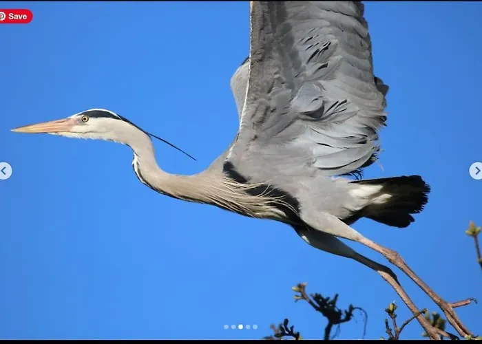 Linden Prázdninový dům